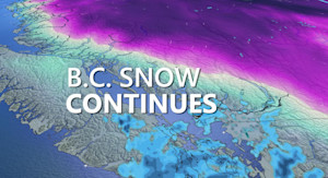 「snow cumulation in vancouver january 13 2020」的圖片搜尋結果"