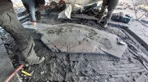 Intact, pregnant ichthyosaur fossil recovered from glacier in Chile