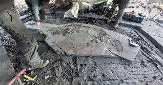 Intact, pregnant ichthyosaur fossil recovered from glacier in Chile