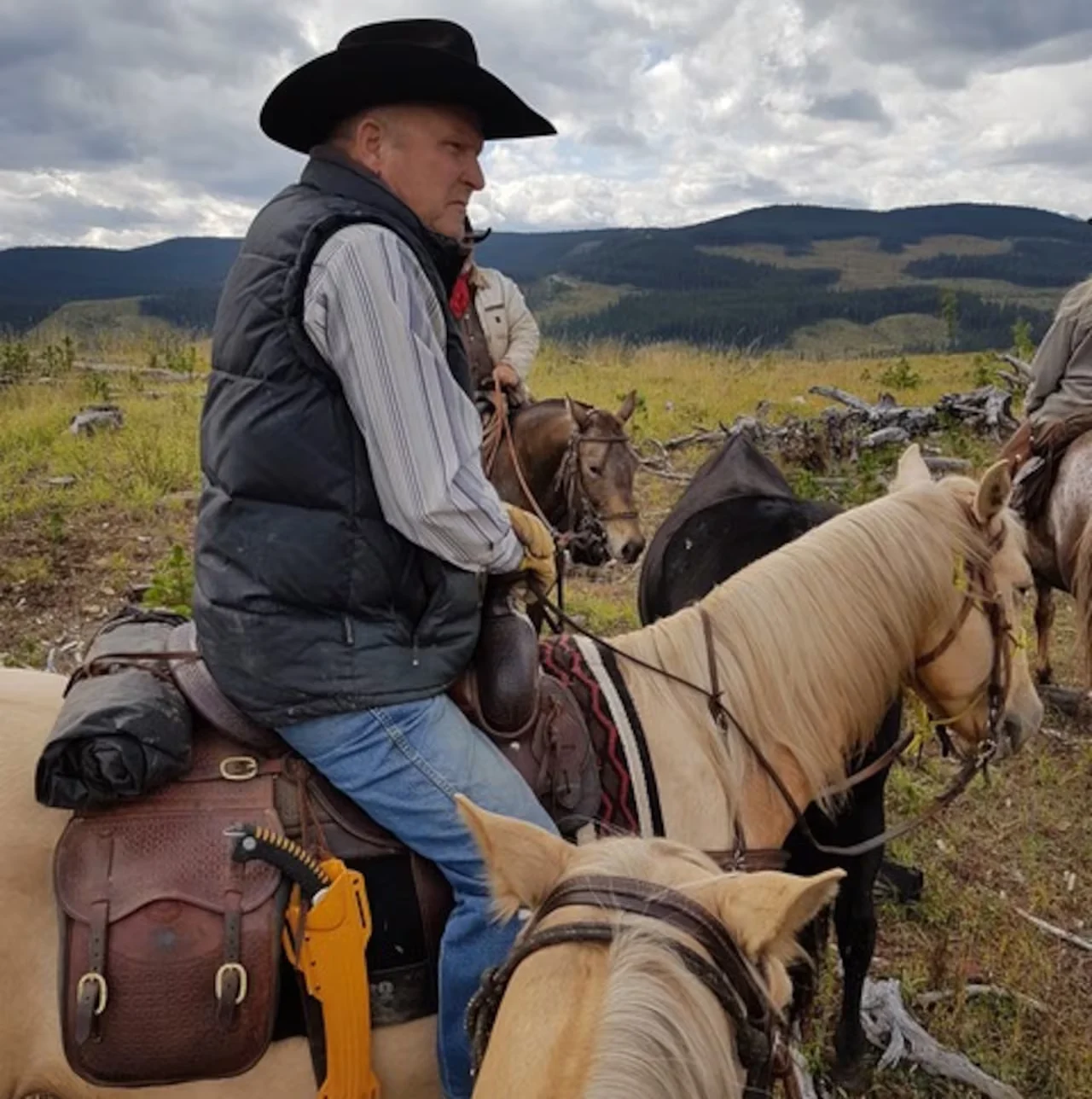 Wild Horse, Darrell Glover, Help Alberta Wildies Society, May 04, 2026. (Submitted by Darrell Glover to CBC News)