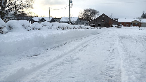 PHOTOS: Parts Of Ontario Walloped By Season's First Lake-effect Snow ...