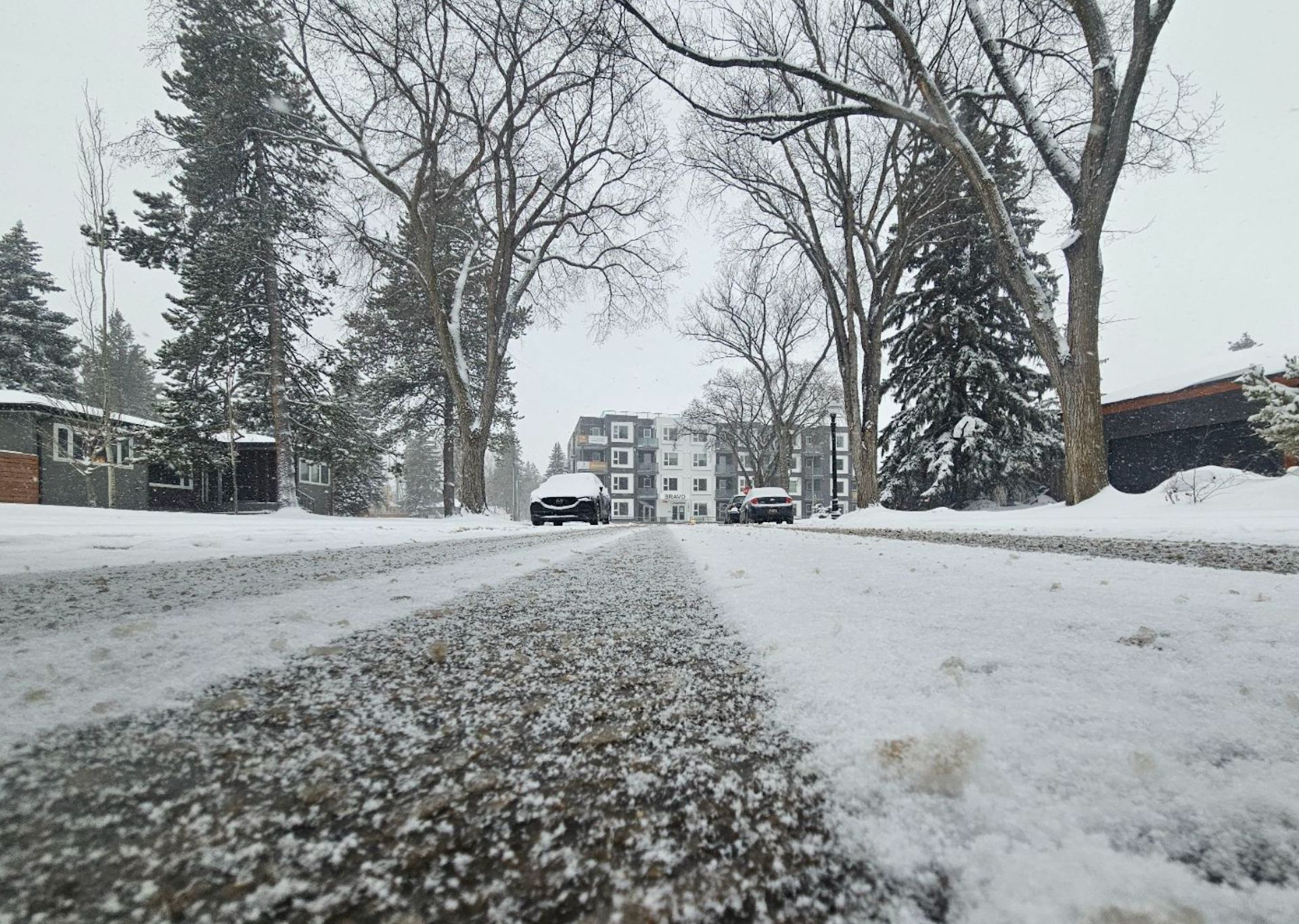 Spring Reality Spring reality check for Alberta with a return to cold and snow - The ...