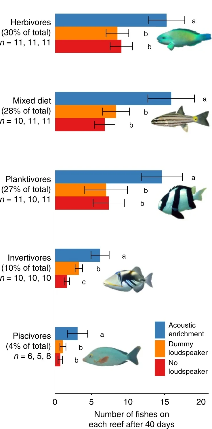 fish with loudspeakers nature communications