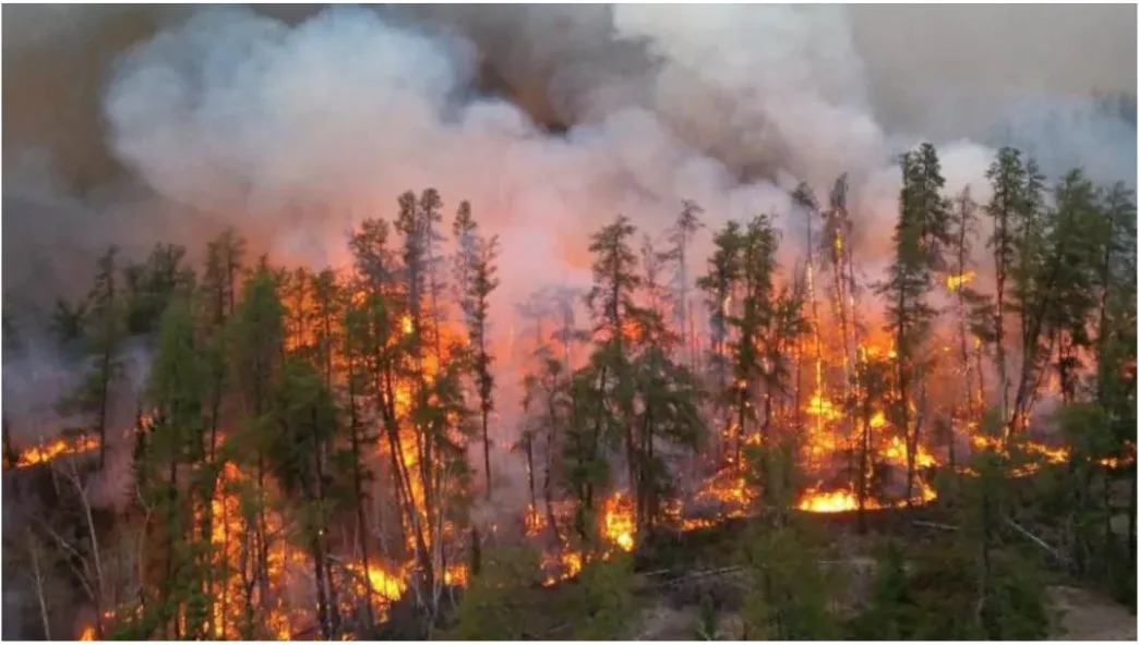 Above-average forest fire risk for NW Ontario, says federal scientist