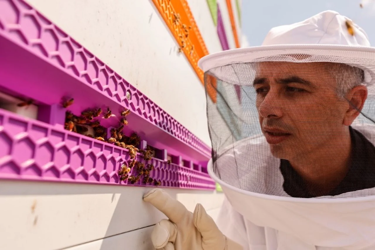 Bees find refuge from perilous world in robotic hive