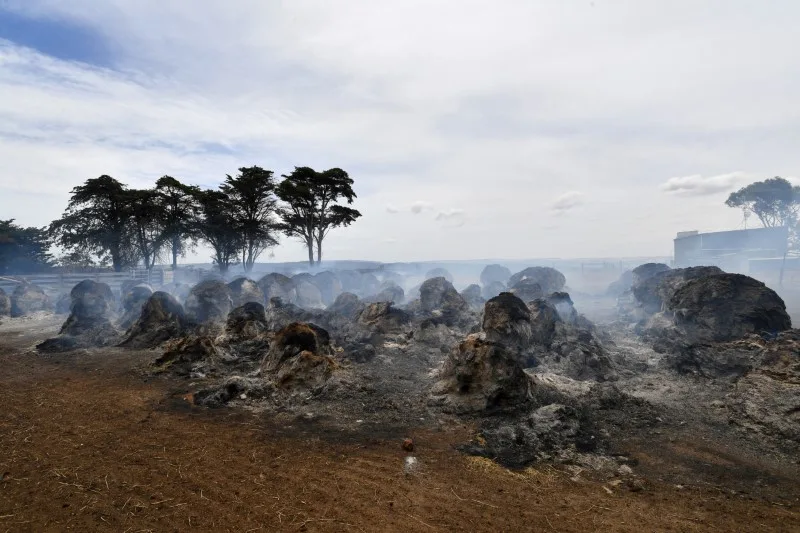 AUSFIRE4