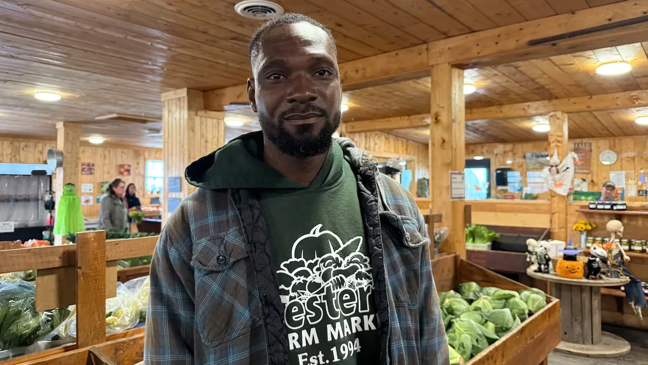Oshane Barrett is a seasonal worker at Lester’s Farm Market, November 2, 2025. (Juanita Mercer/CBC)