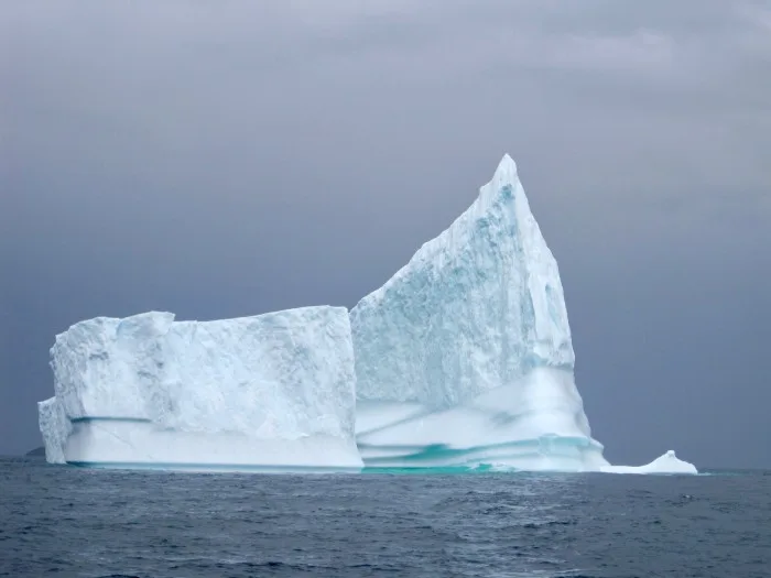 Les icebergs, grands absents de l'été à l'est du Canada