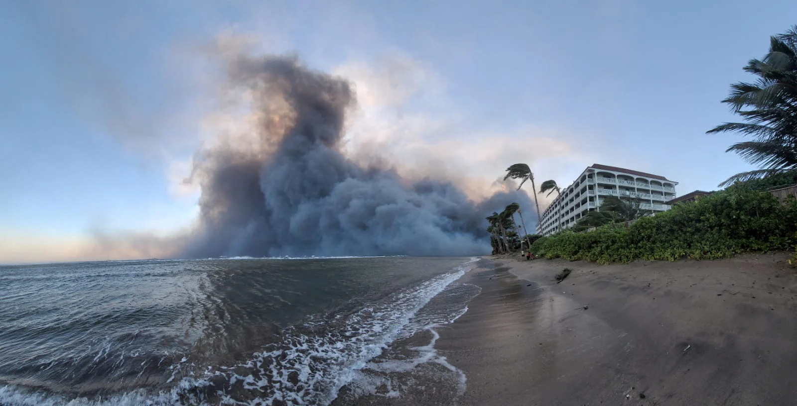 REUTERS: HAWAII-WILDFIRES (Dustin Johnson/Handout via REUTERS)