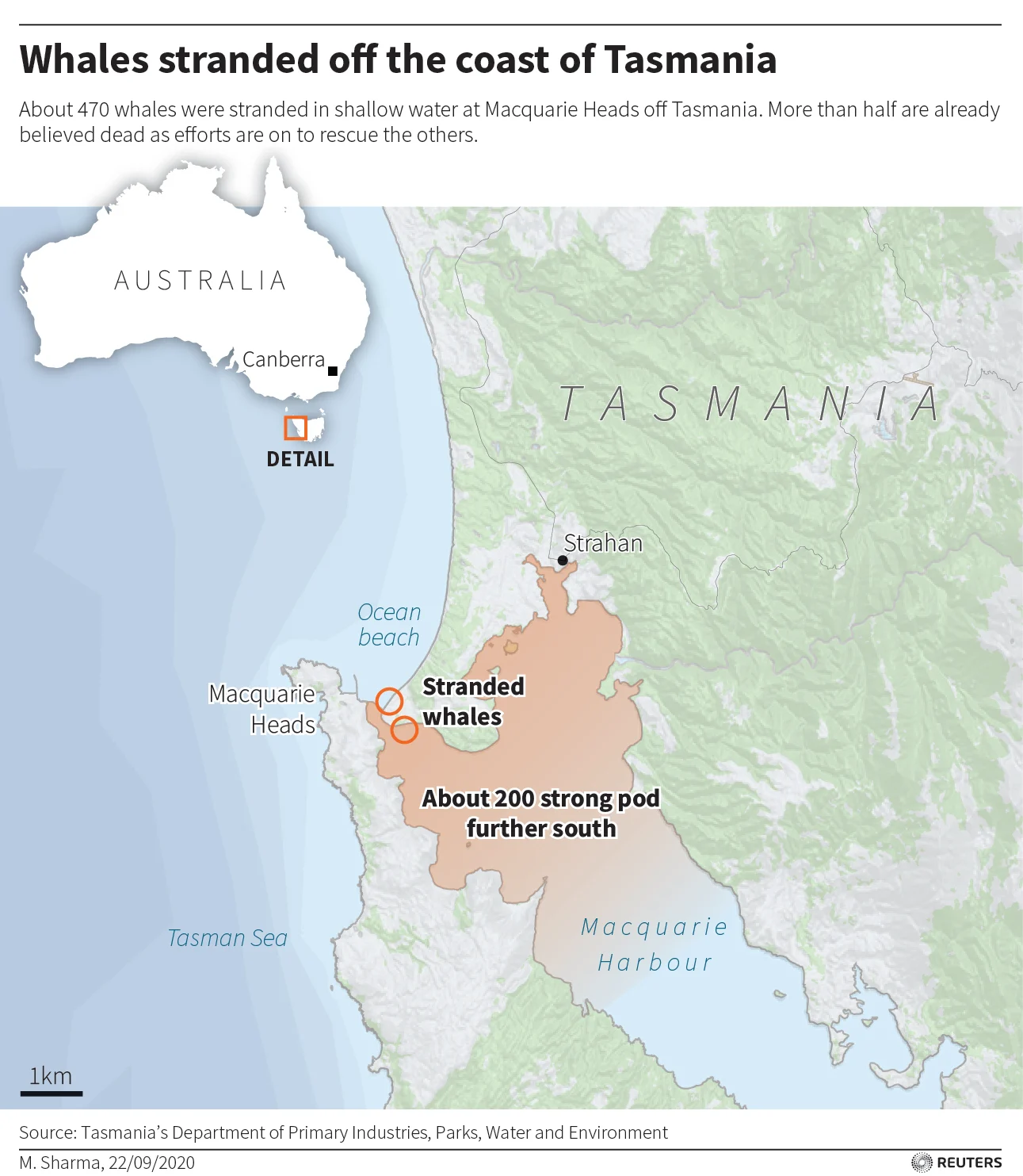 Graphic: Stranded whales location, Australia