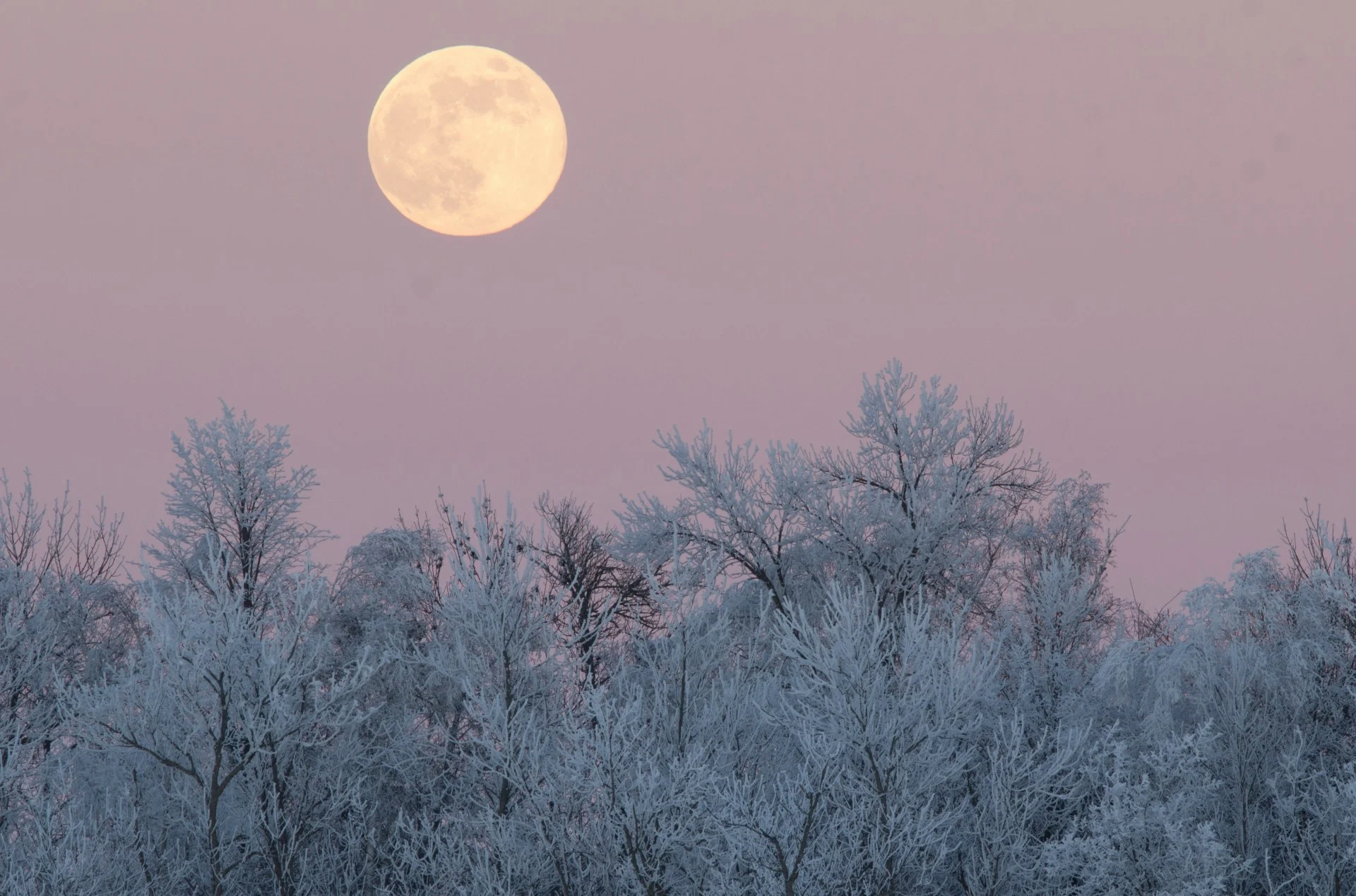 La prochaine pleine lune sera trompeuse