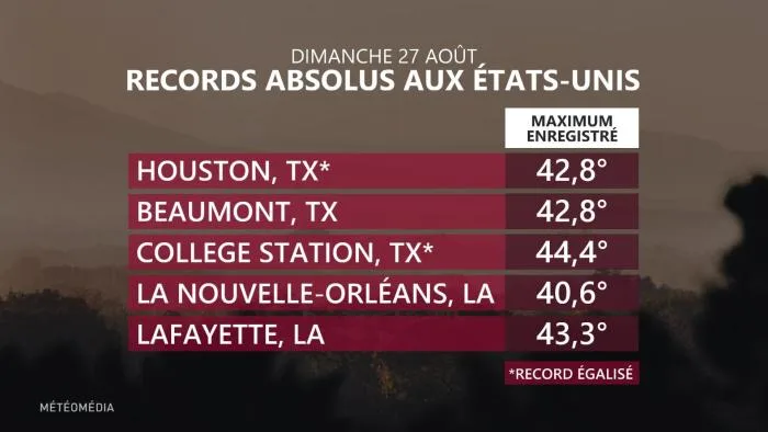CHALEUR1 RECORDS