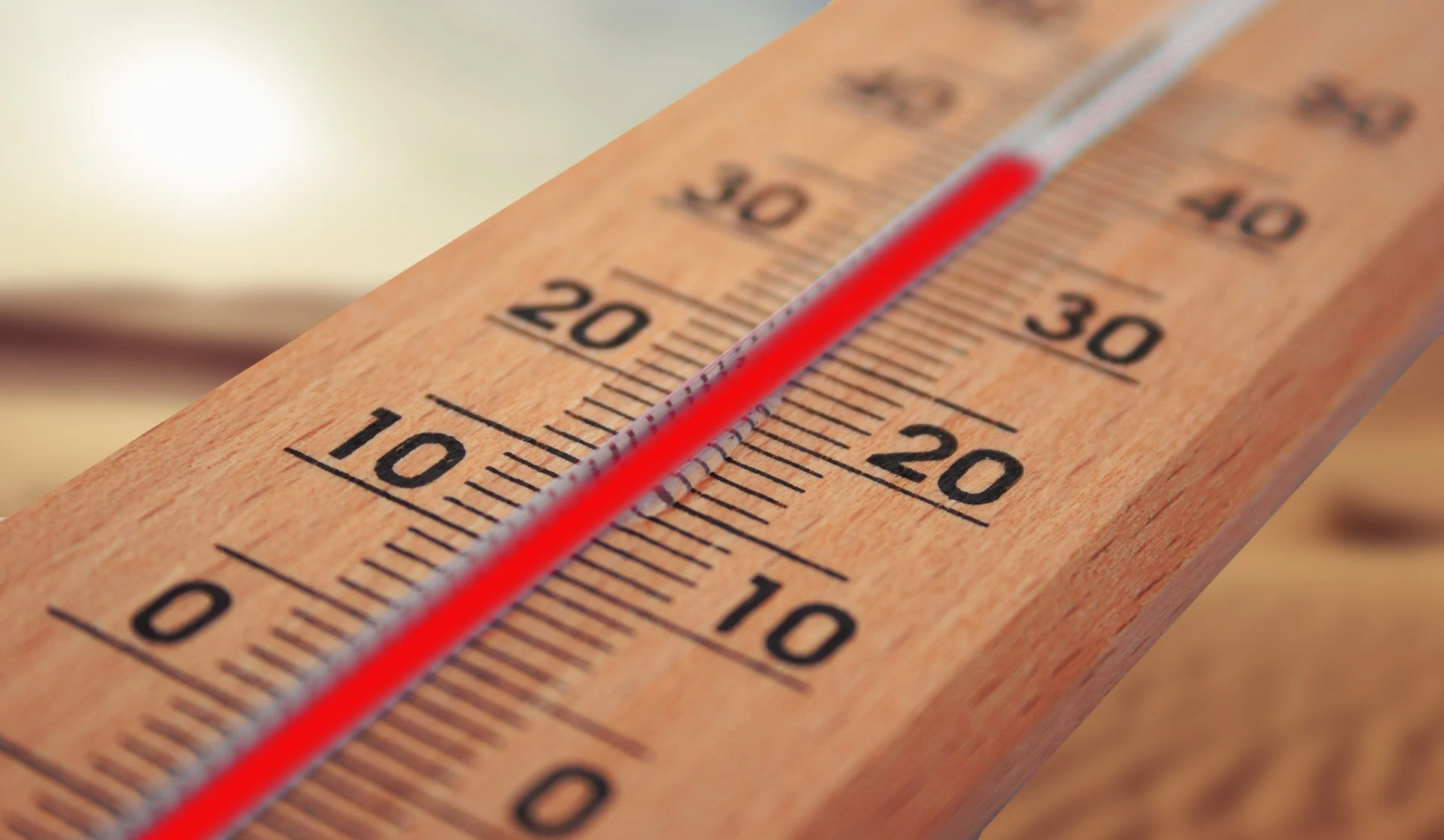 Canicule ou vague de chaleur? Voyez comment les distinguer