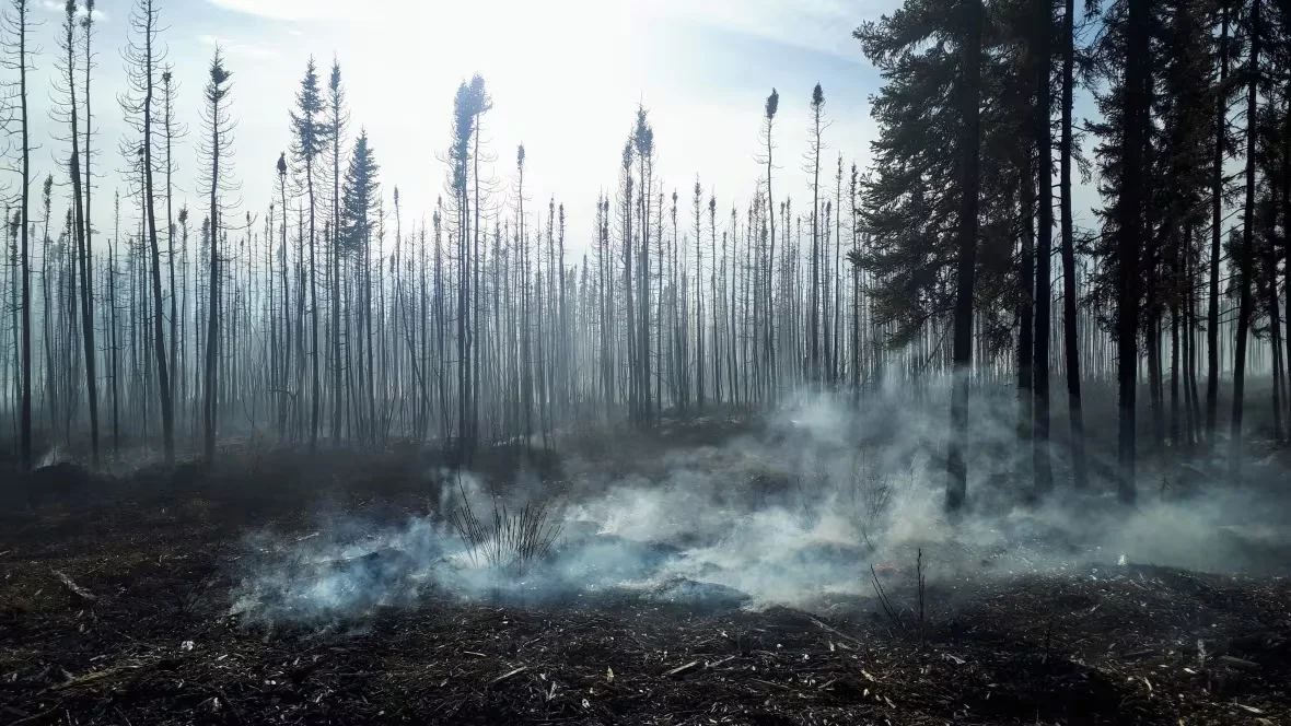 experimental-peatland-fire/Submitted by Greg Verkaik via CBC