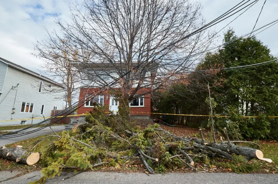 Almost 1 million people were left without power during Québec windstorm