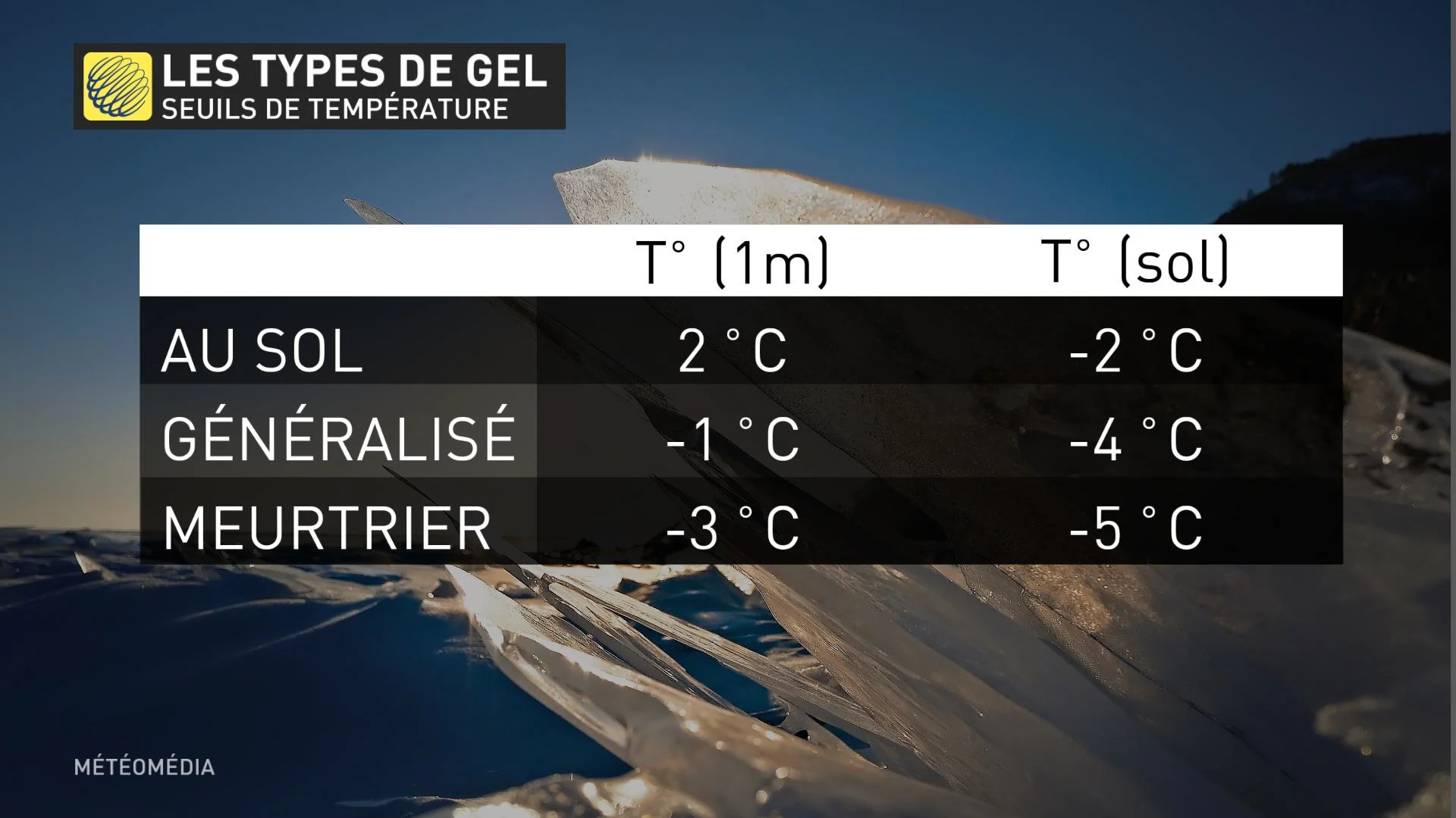 types de gel