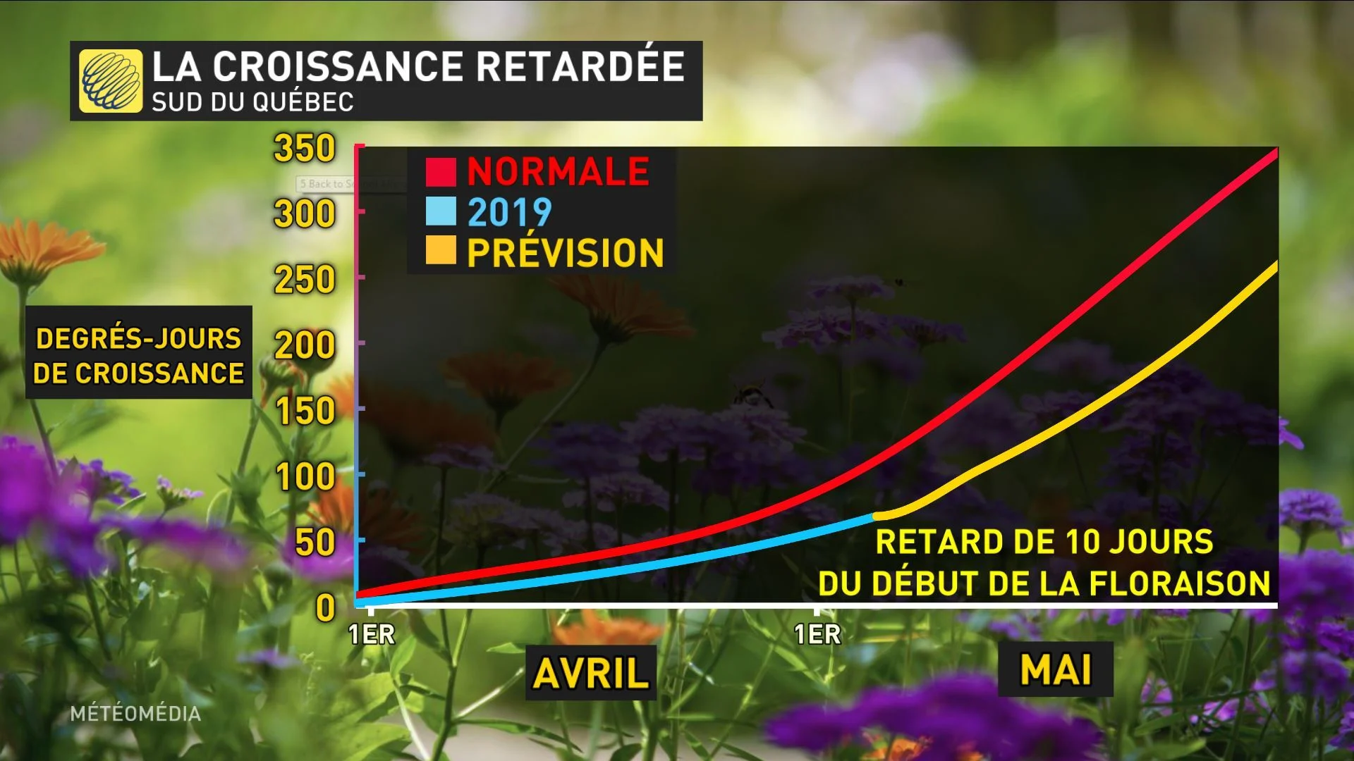 fleurs prévisions