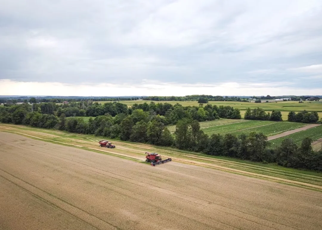 What's a greenbelt supposed to do? Contain growing cities and preserve