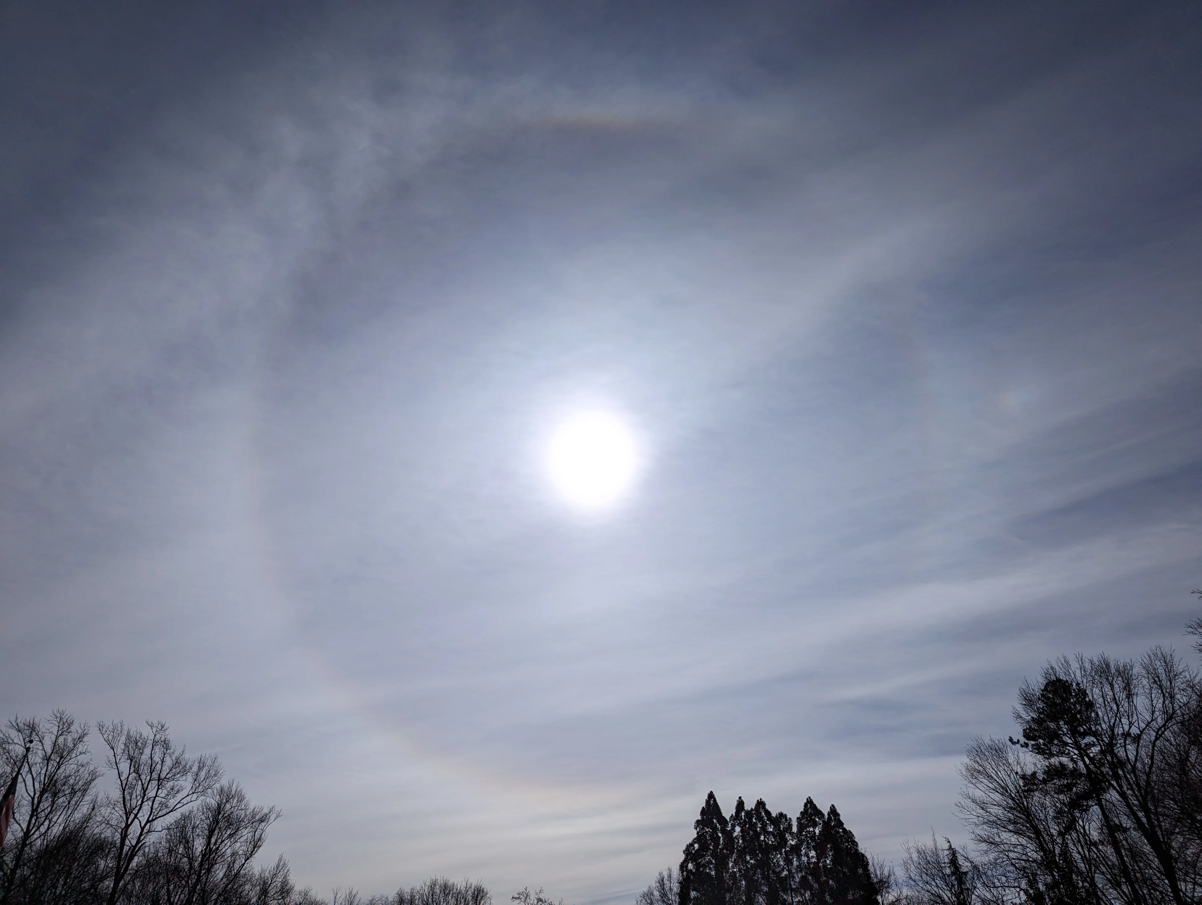 (Dennis Mersereau) Sun halo through cirrostratus clouds January 2024