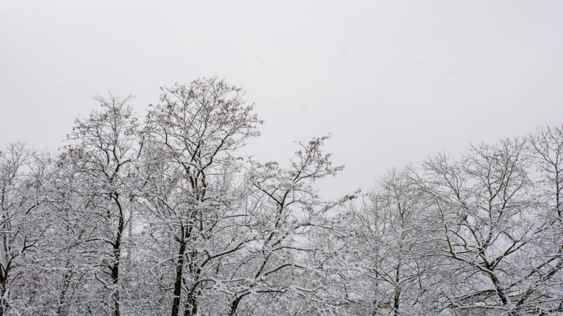 Photos: April snow hits parts of Ontario, Quebec, power outages reported