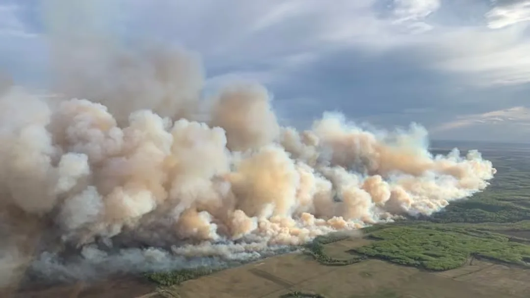 Wildfire forces partial evacuation order in County of Grande Prairie ...