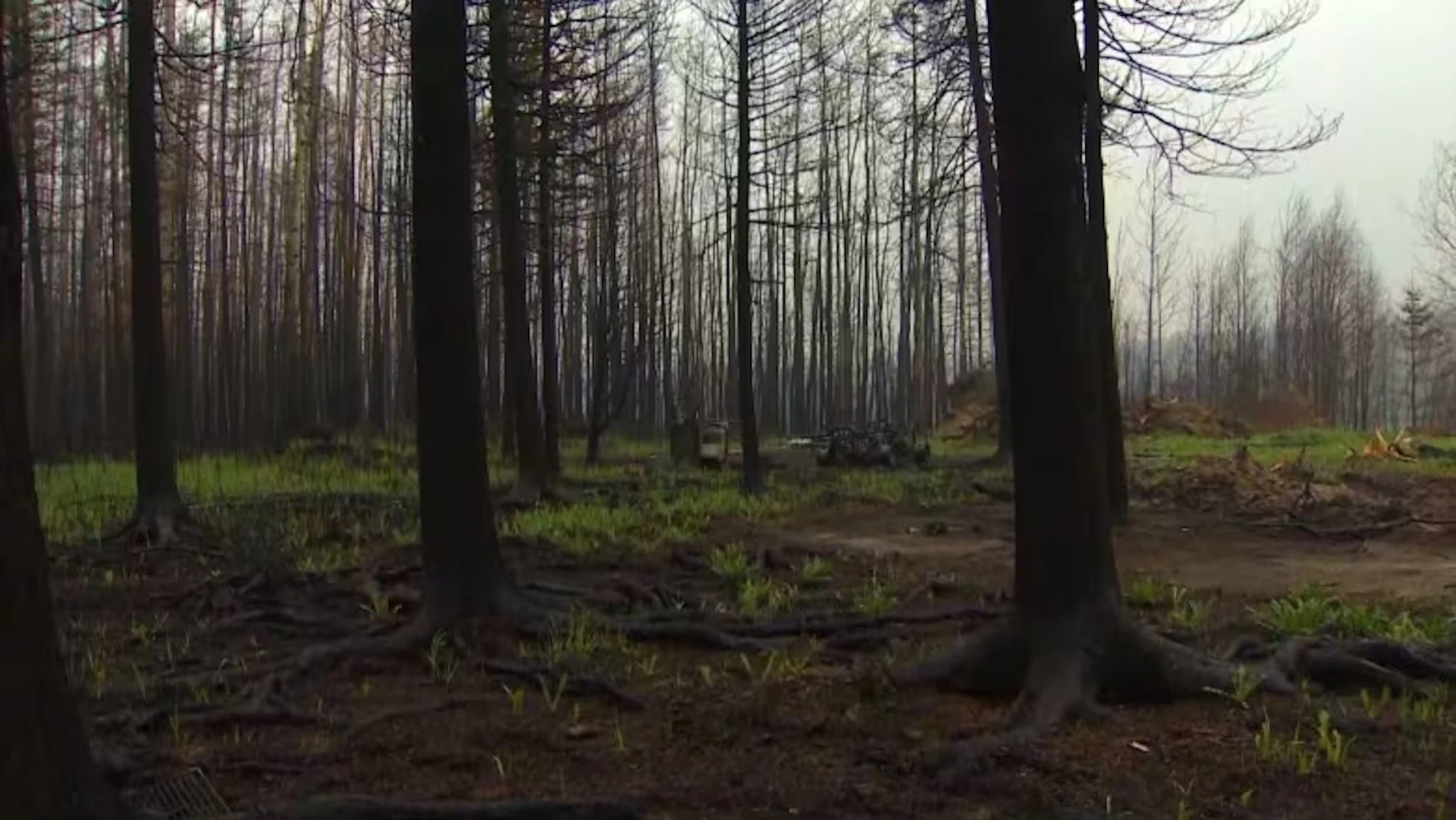 Firefighters make progress on Alberta wildfires as more evacuees return home