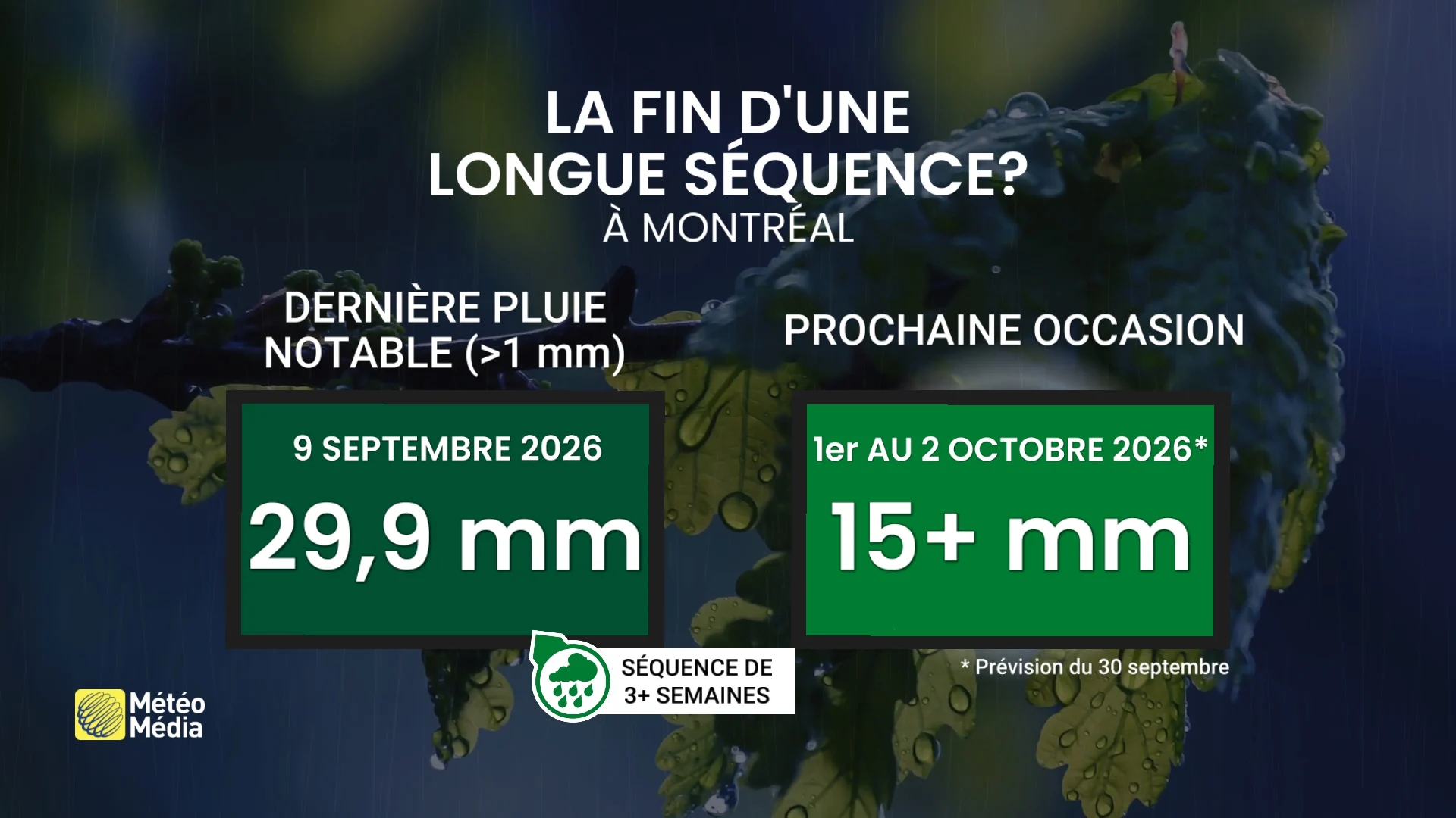 Fin d'une longue séquence : Polo nous offre un retour qui fera du bien
