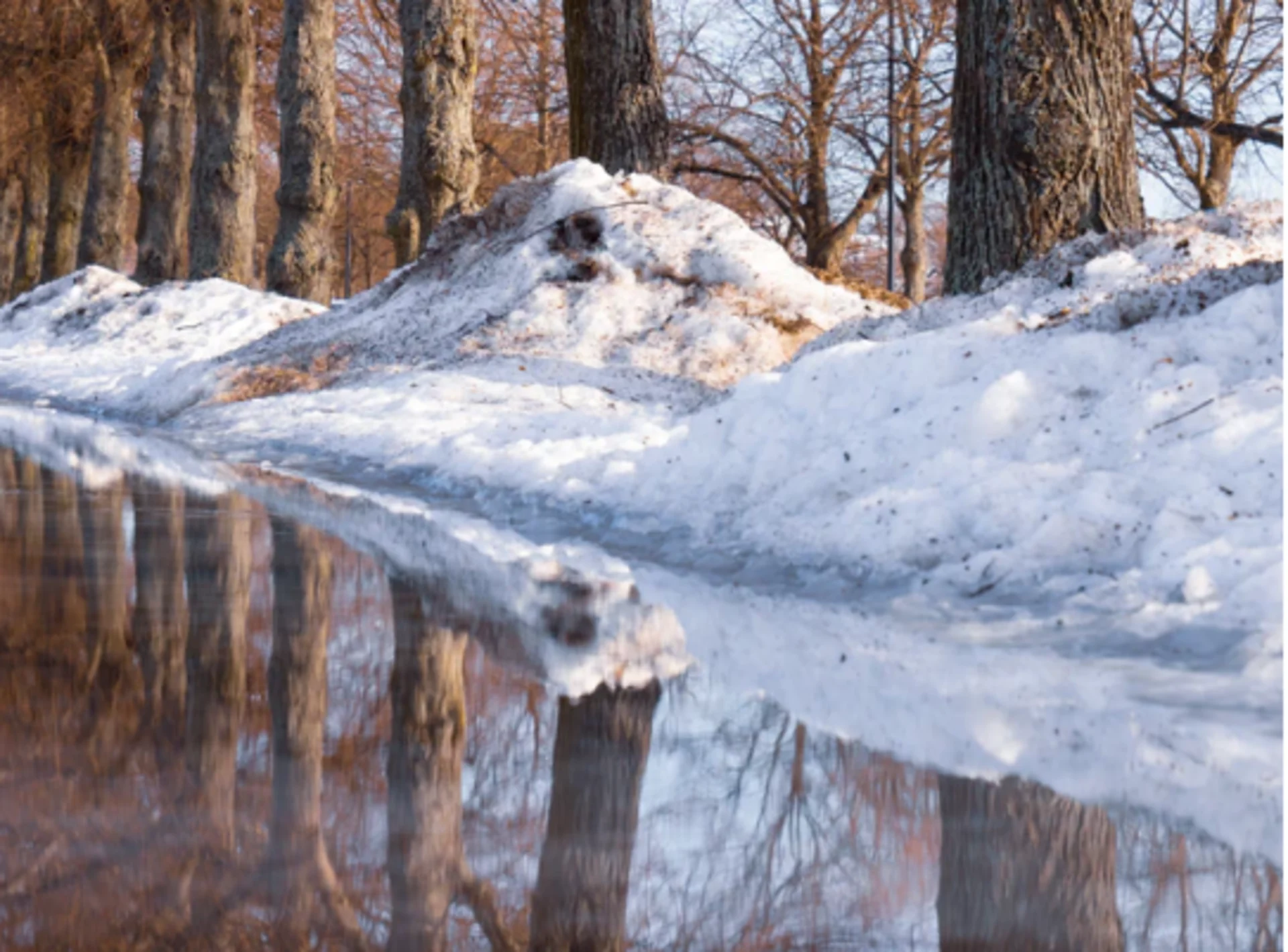 FONTE DE LA NEIGE 2