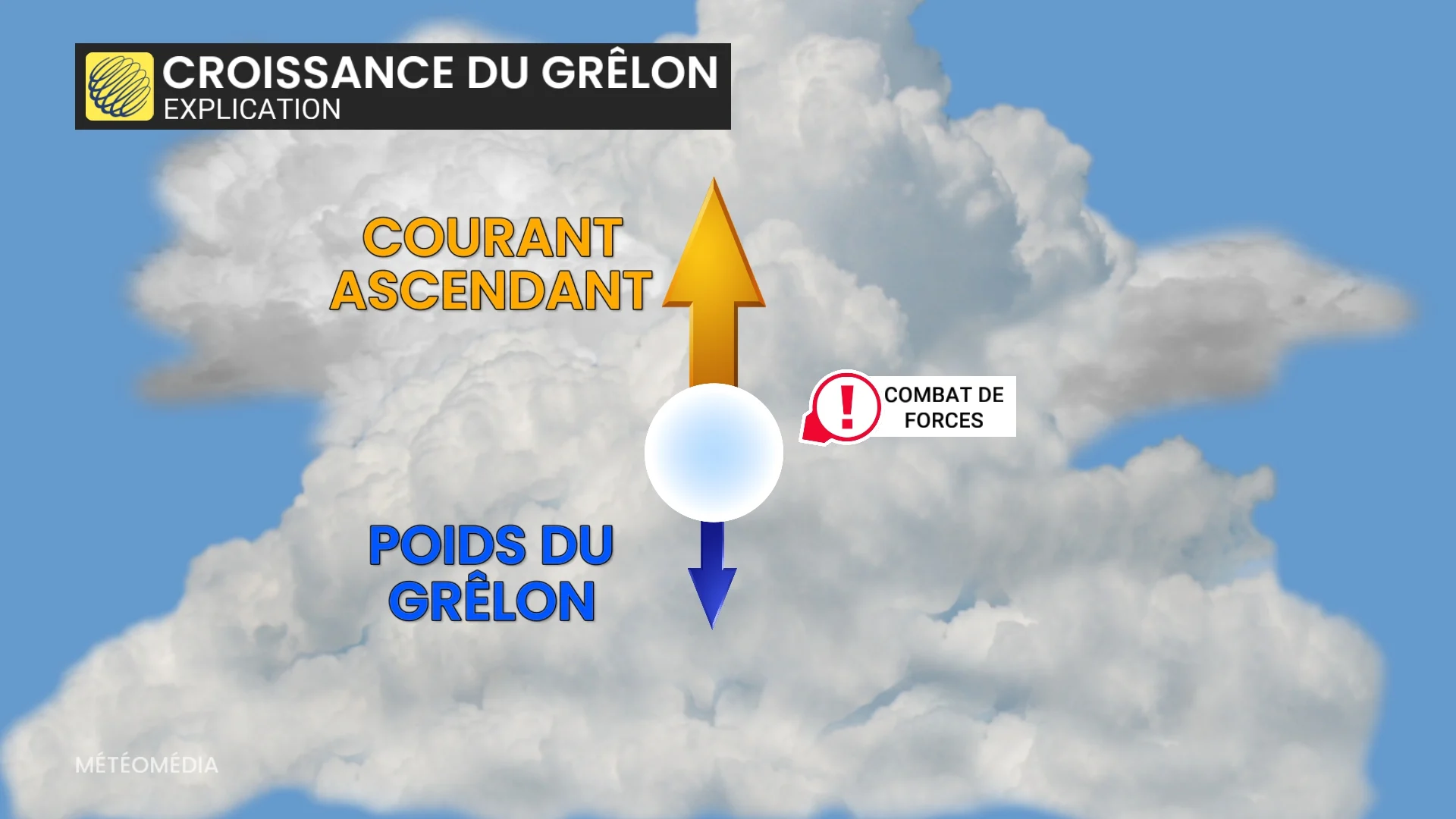 GRELON2