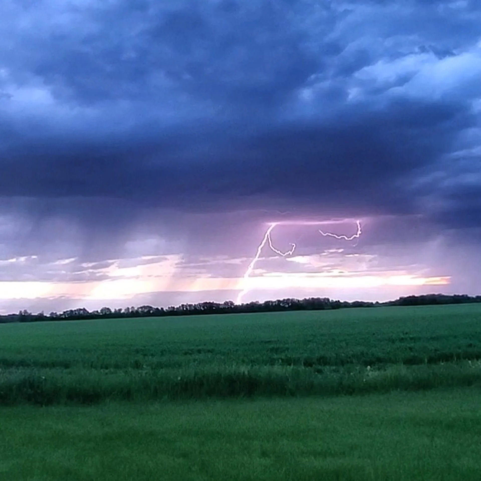 (UGC/Tara McConnell) Lightning near Winnipeg Manitoba