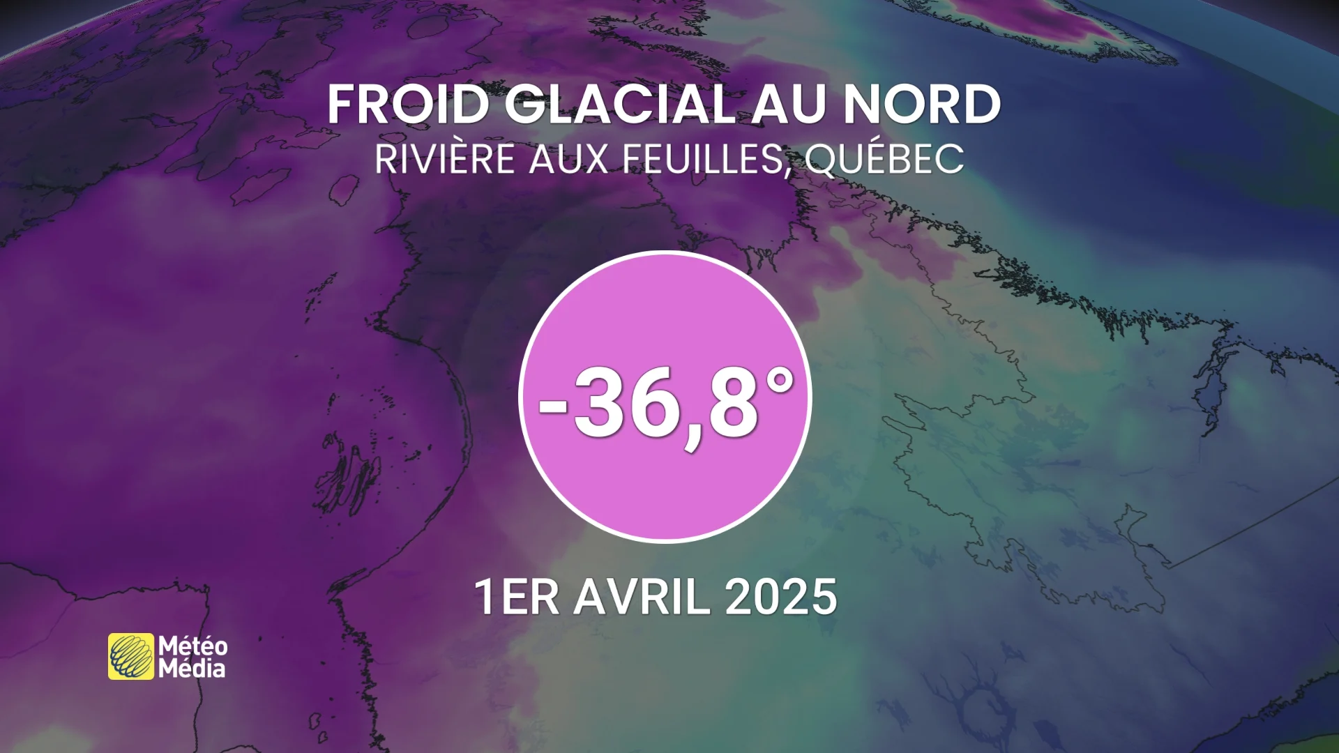 FROID1 (3)