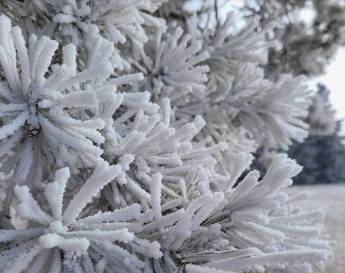 MétéoMédia - The beauty (and danger) behind rime ice