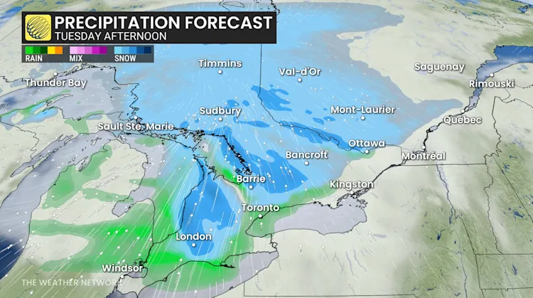 Snow and cold swiftly return to Ontario - The Weather Network