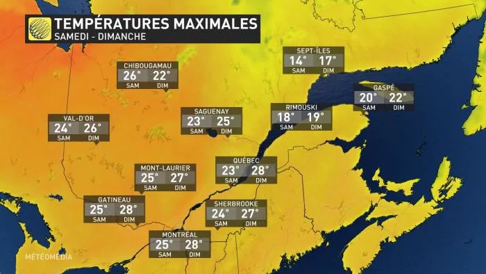 WE5 - TEMP