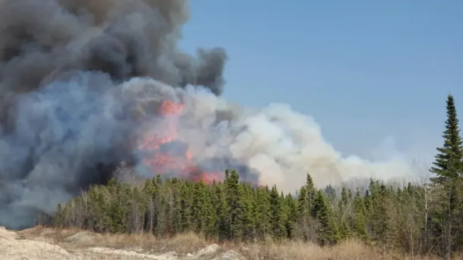 Grass fire destroys 2 houses, forces out 80 households in Manitoba First Nation
