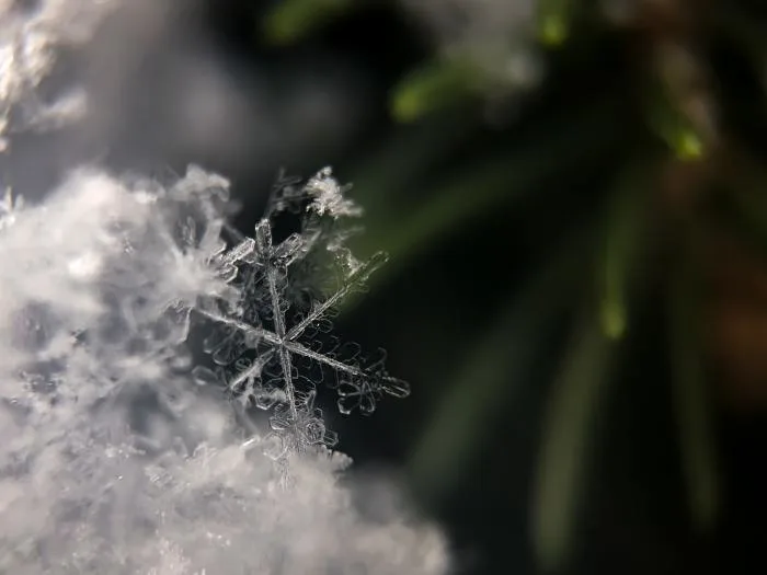 Le froid prépare son retour