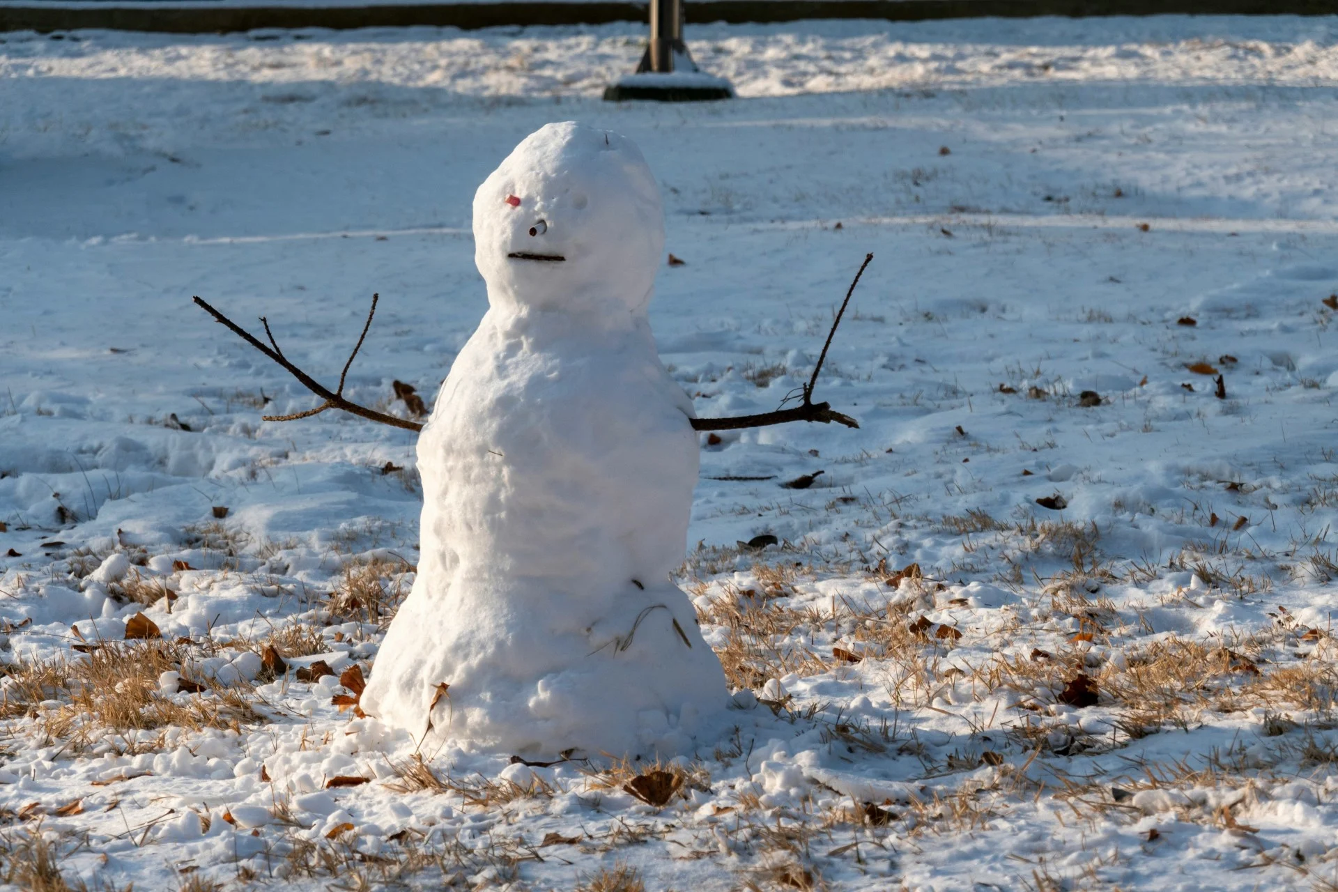 L'hiver prend encore une pause au Québec