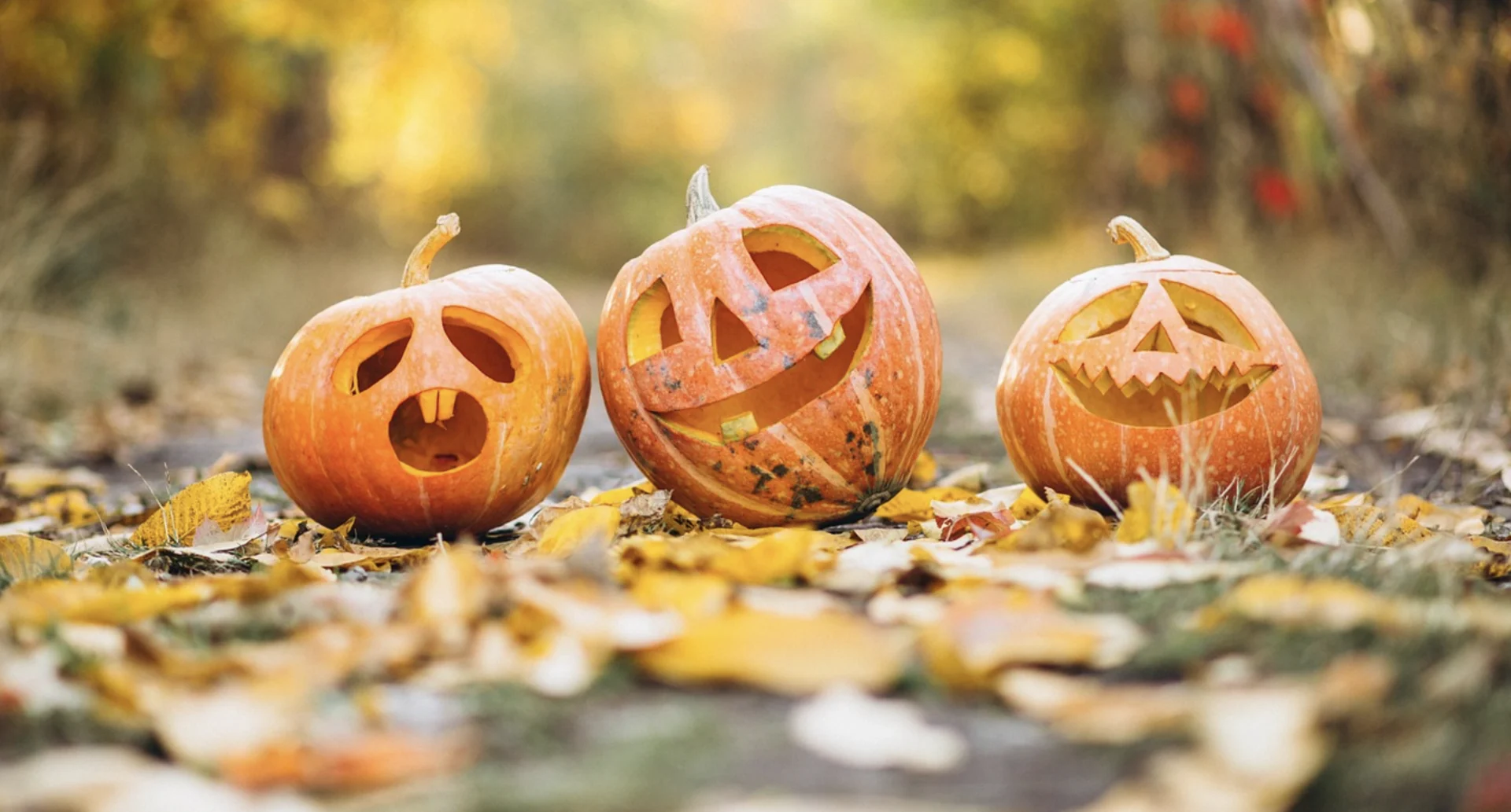 5 things to do with your pumpkins after Halloween