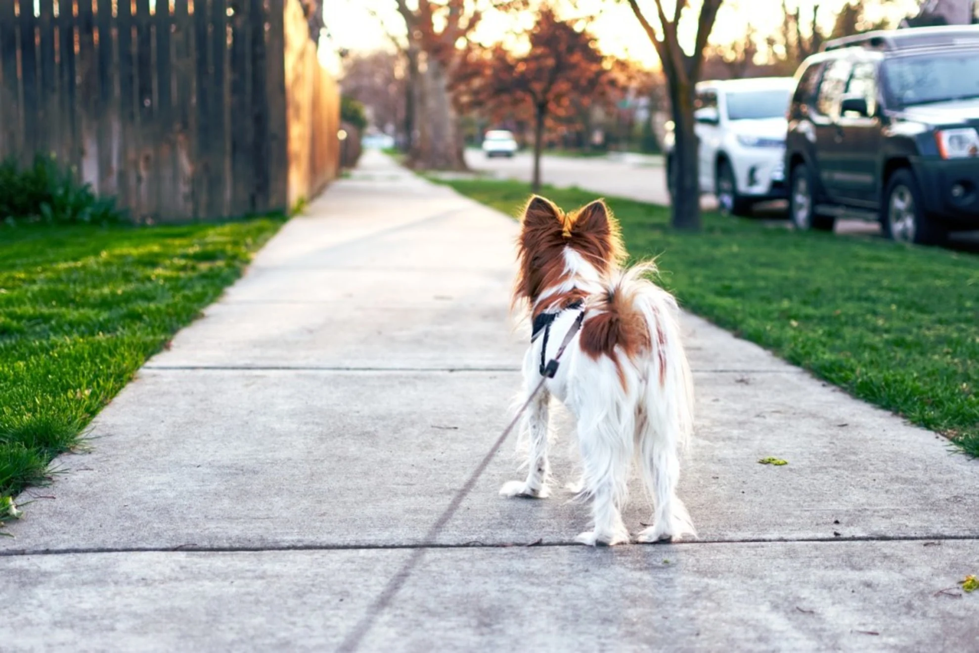 Sacramento weekend weather forecast: Sunny and clear skies