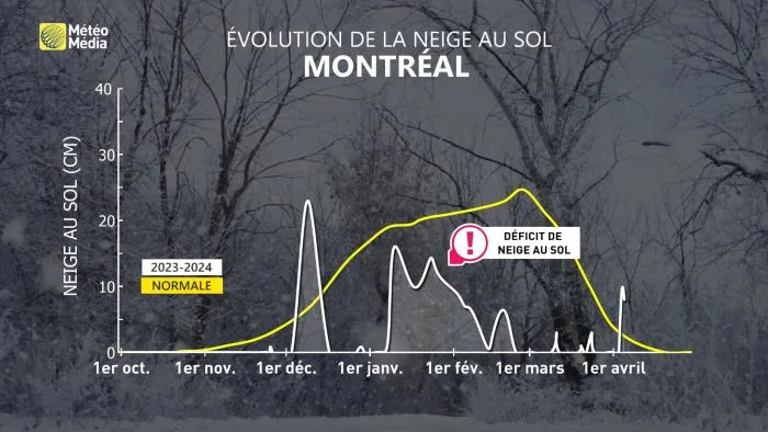 NEIGE4 AU SOL