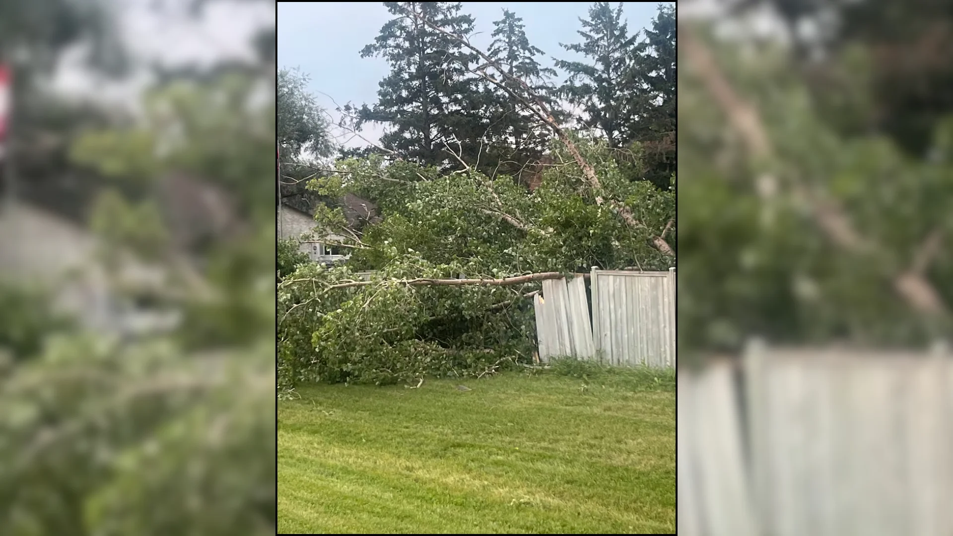 CBC Winnipeg storm damage July 30 2026