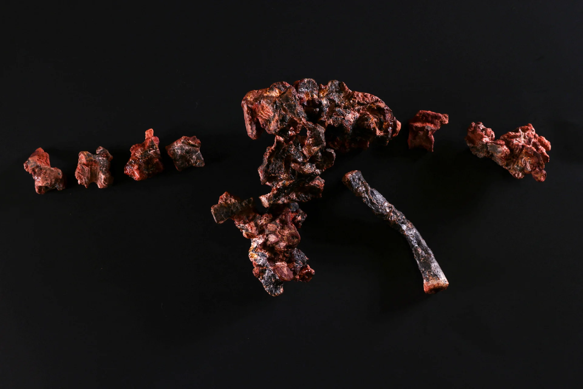 One of the world's oldest fossils could help explain rise of the dinosaurs