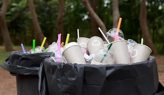 Ontario considers ban on straws and single use plastics