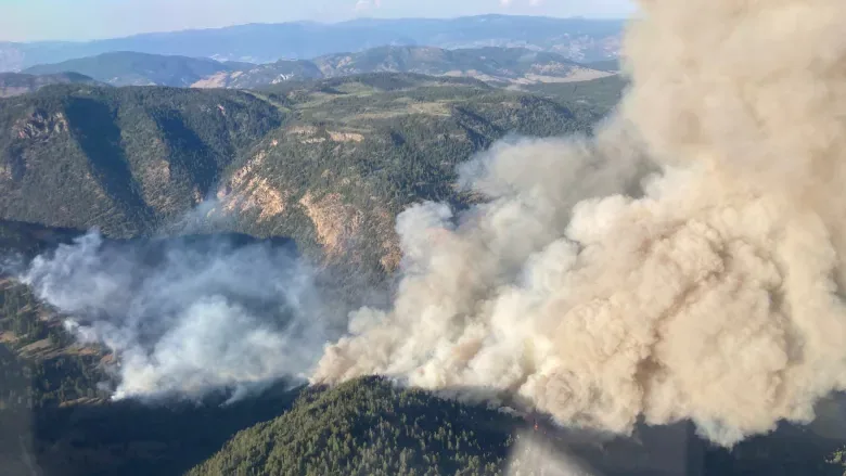 keremeos-creek-wildfire-on-friday-july-29-2022/BC Wildfire Service via CBC