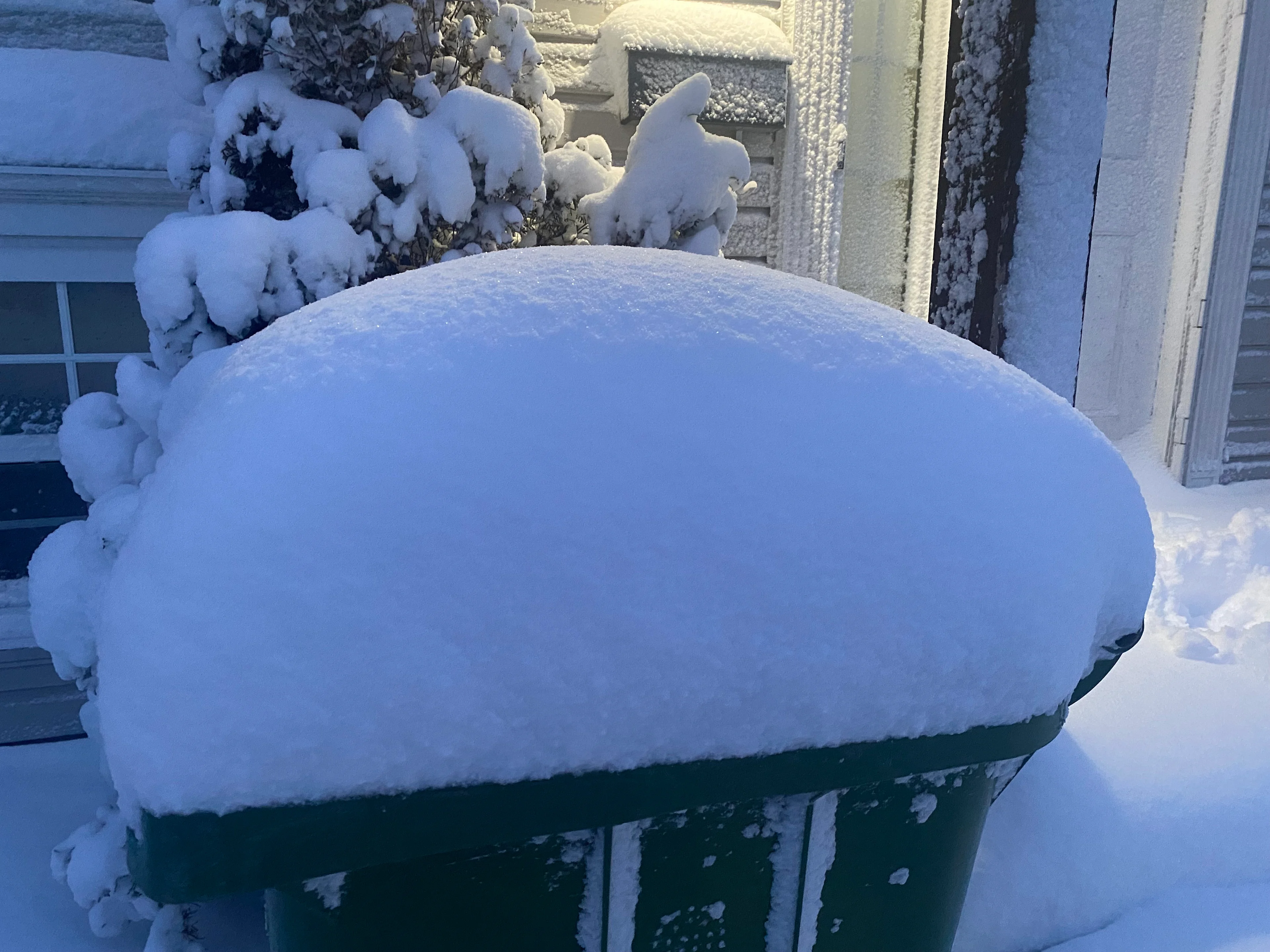 Nathan Coleman - Halifax snow - Mar3.jpg