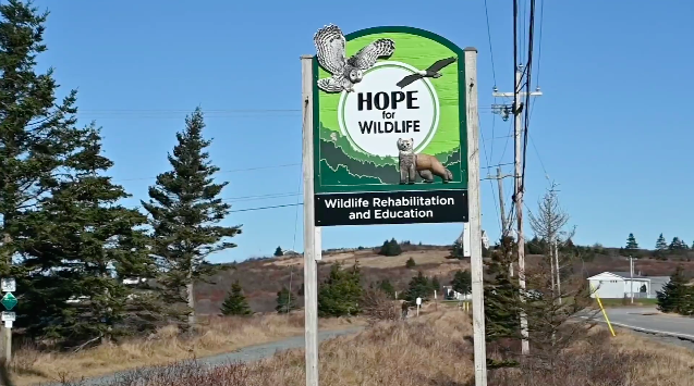 Nova Scotia wildlife refuge with high energy demands goes fully solar