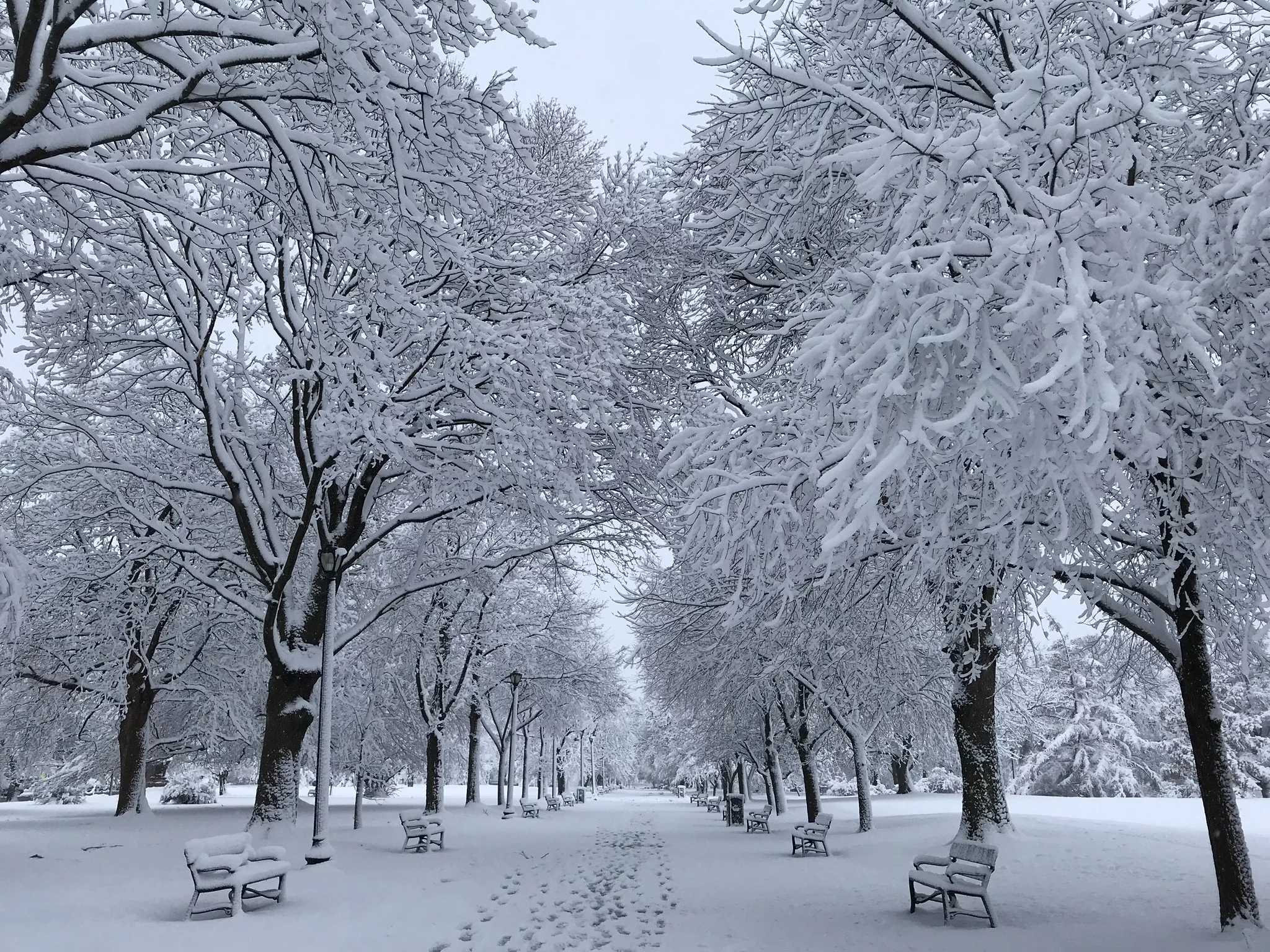 -15 °C et 15 cm de neige : l'hiver frappe fort dans cette ville