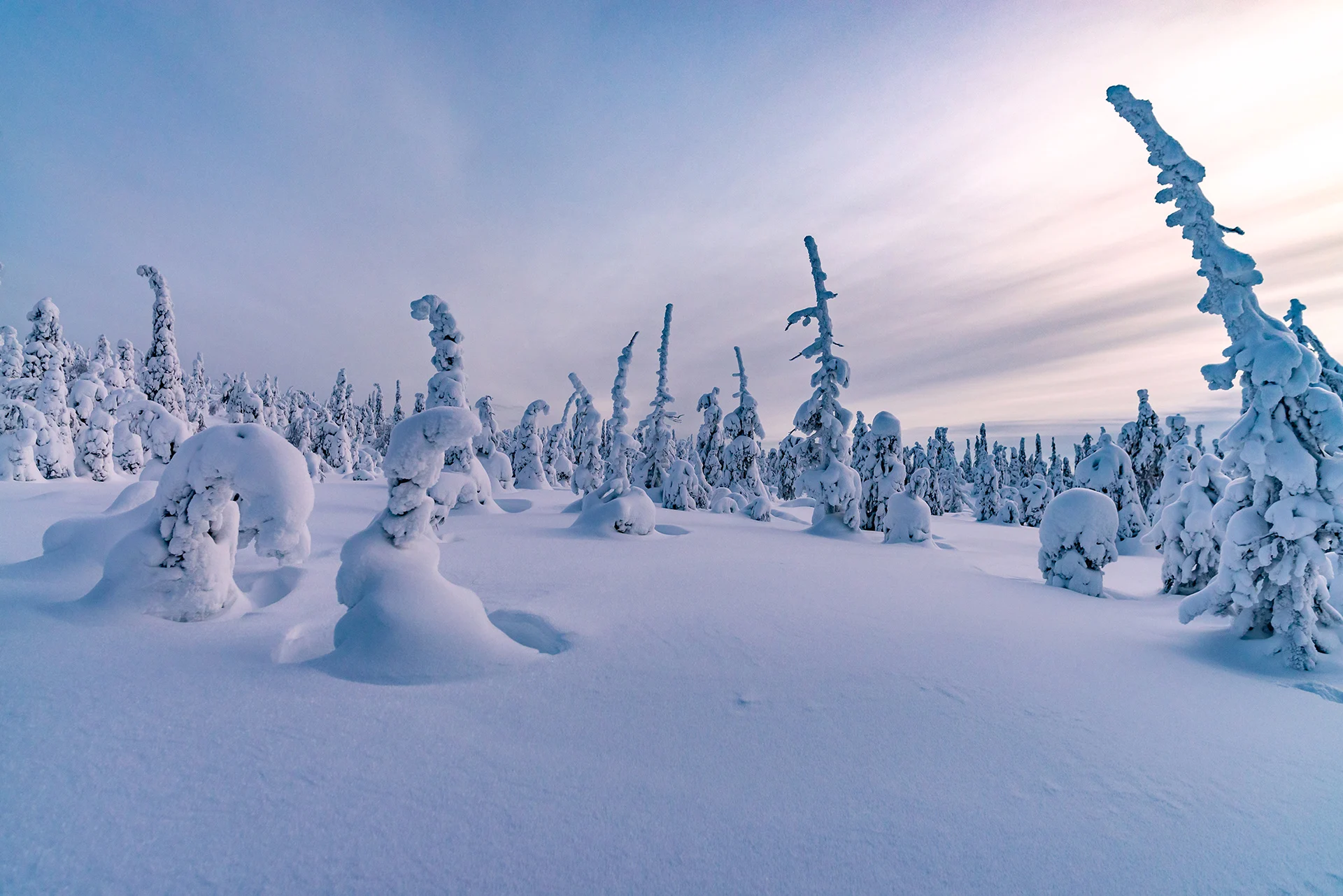 Remote Arctic town makes bid to host Summer Olympics, here's why