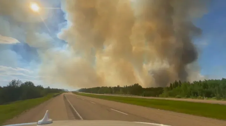 CBC: The fire covers an area of about 181 hectares in the Edson Forest Area and is located nine kilometres west of Evansburg and moving south. (David Bajer/CBC)
