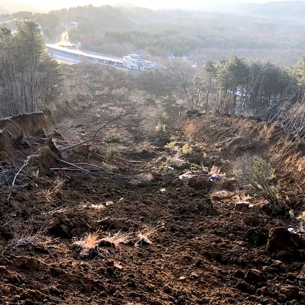 Japan earthquake/Lance Chen